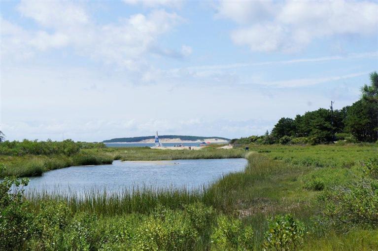 140 Fox Island Road Wellfleet, MA 02667 - Photo 21 of 23 a view of a lake with houses in the back