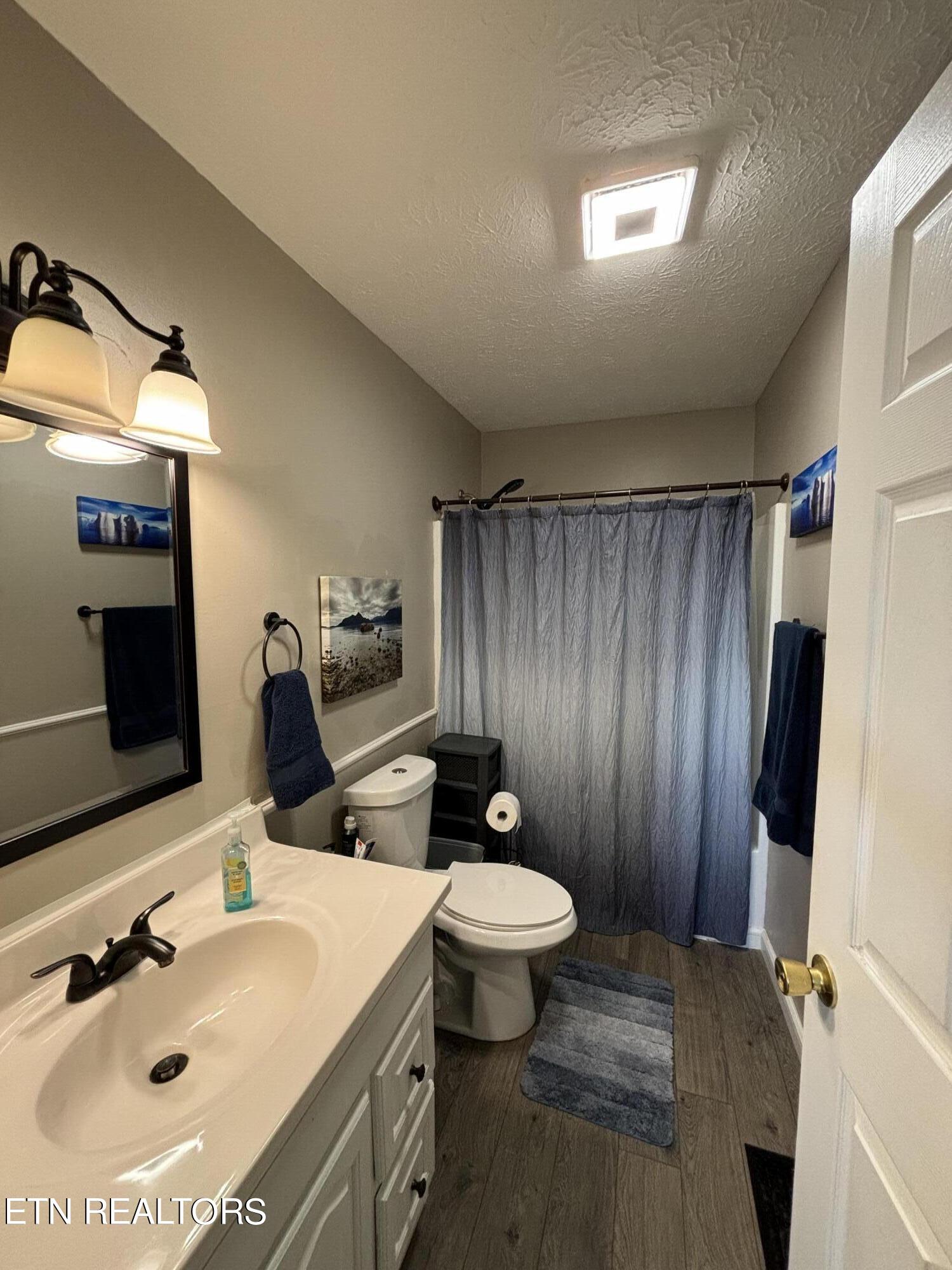 523 Low Valley Road Dandridge, TN 37725 - Photo 13 of 19 master bath