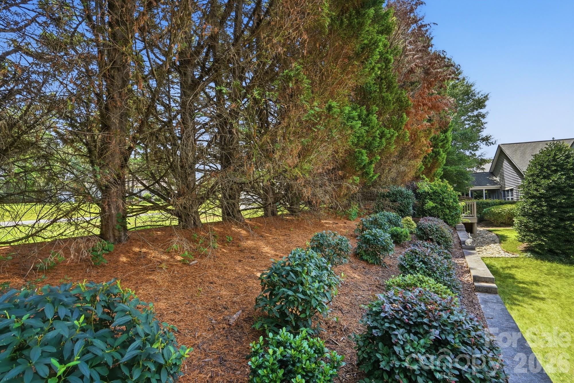 970 Platinum Drive Fort Mill, SC 29708 - Photo 45 of 46