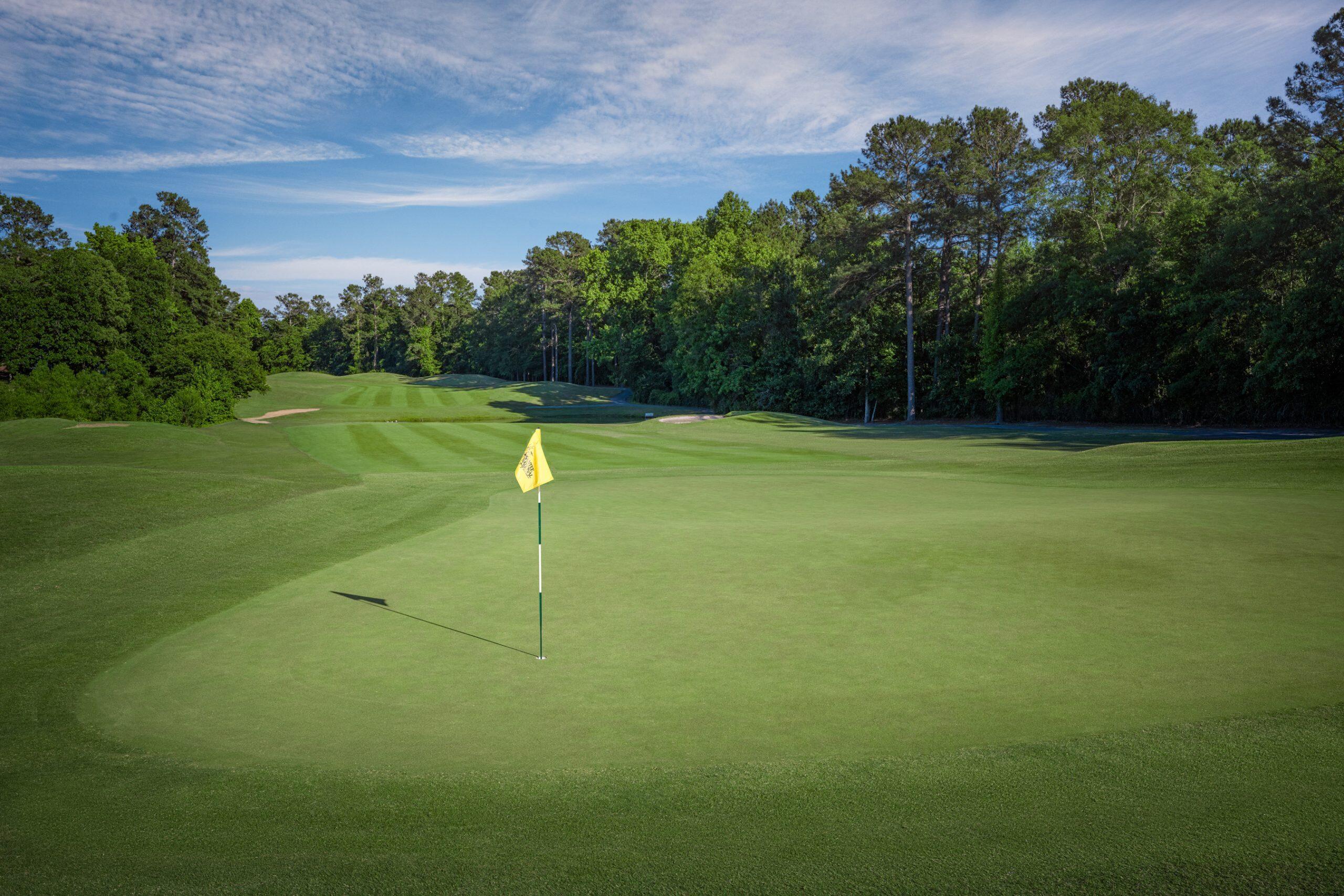 300 Picard Loop Santee, SC 29142 - Photo 14 of 15 Santee National Golf Course