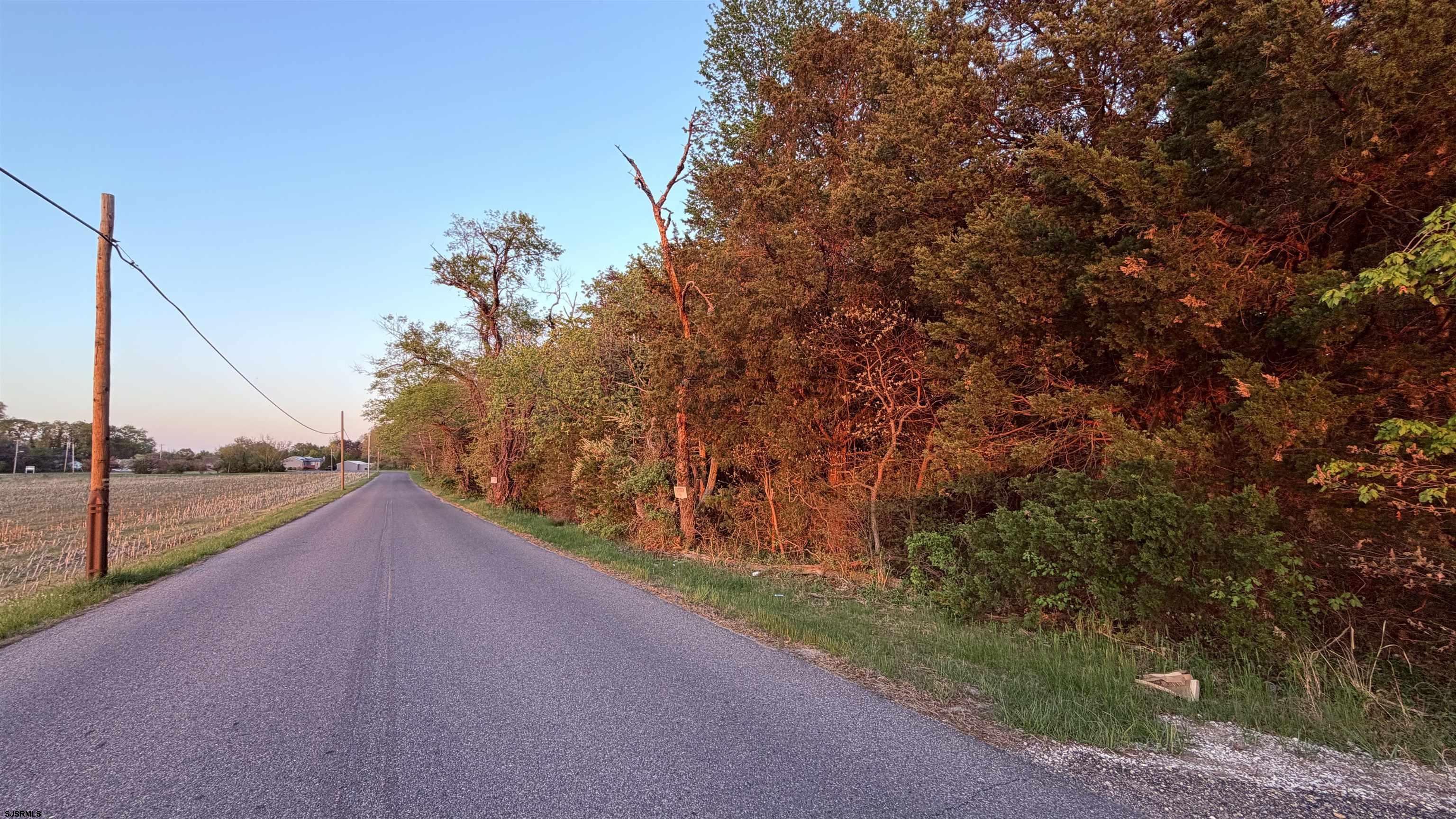0 Factory Road Cedarville, NJ 08311 - Photo 2 of 13 Gallery Image 2