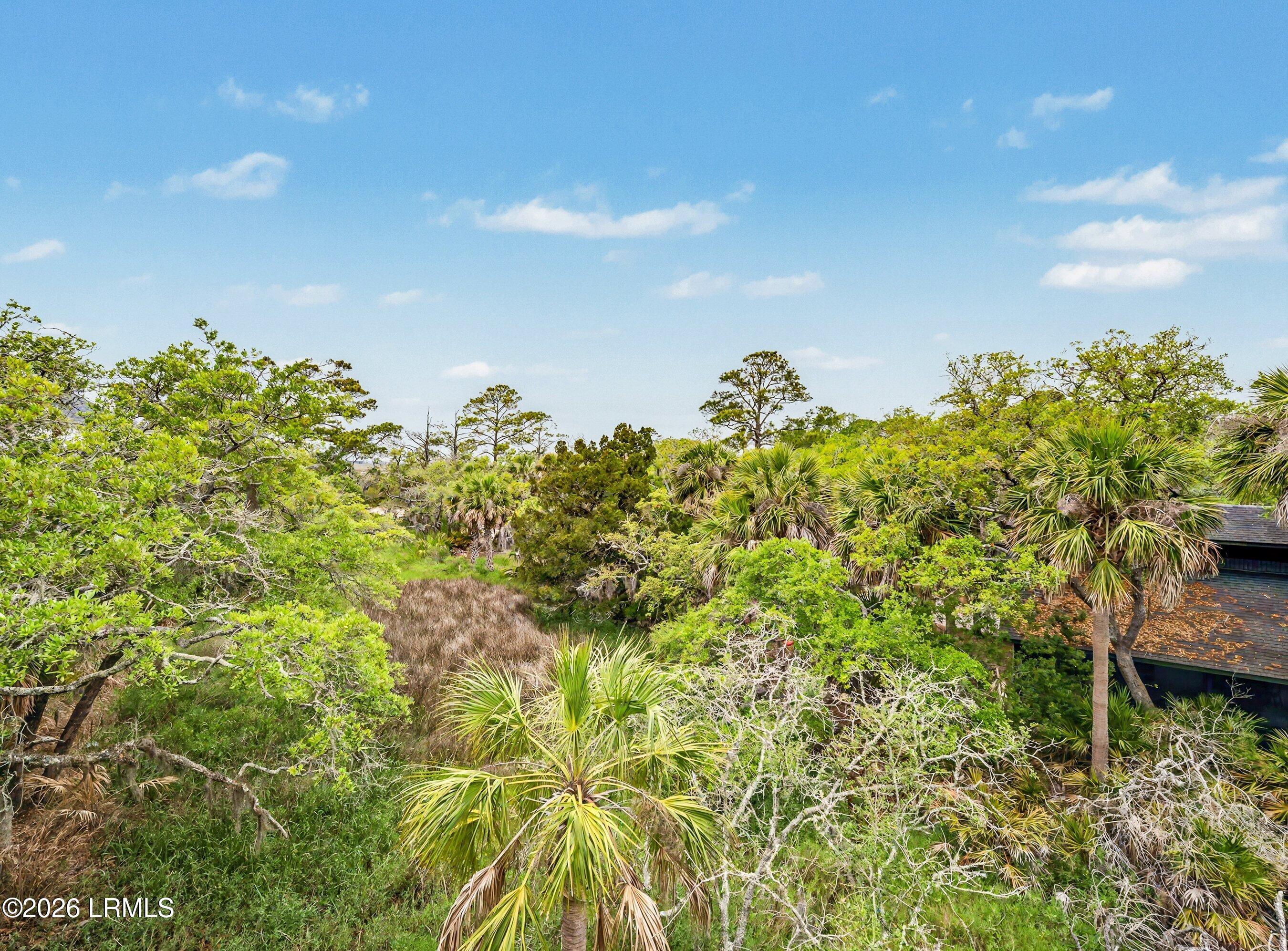 10 Veranda Beach Road Fripp Island, SC 29920 - Photo 33 of 62 DSC06241-155-1.jpg-SMALL