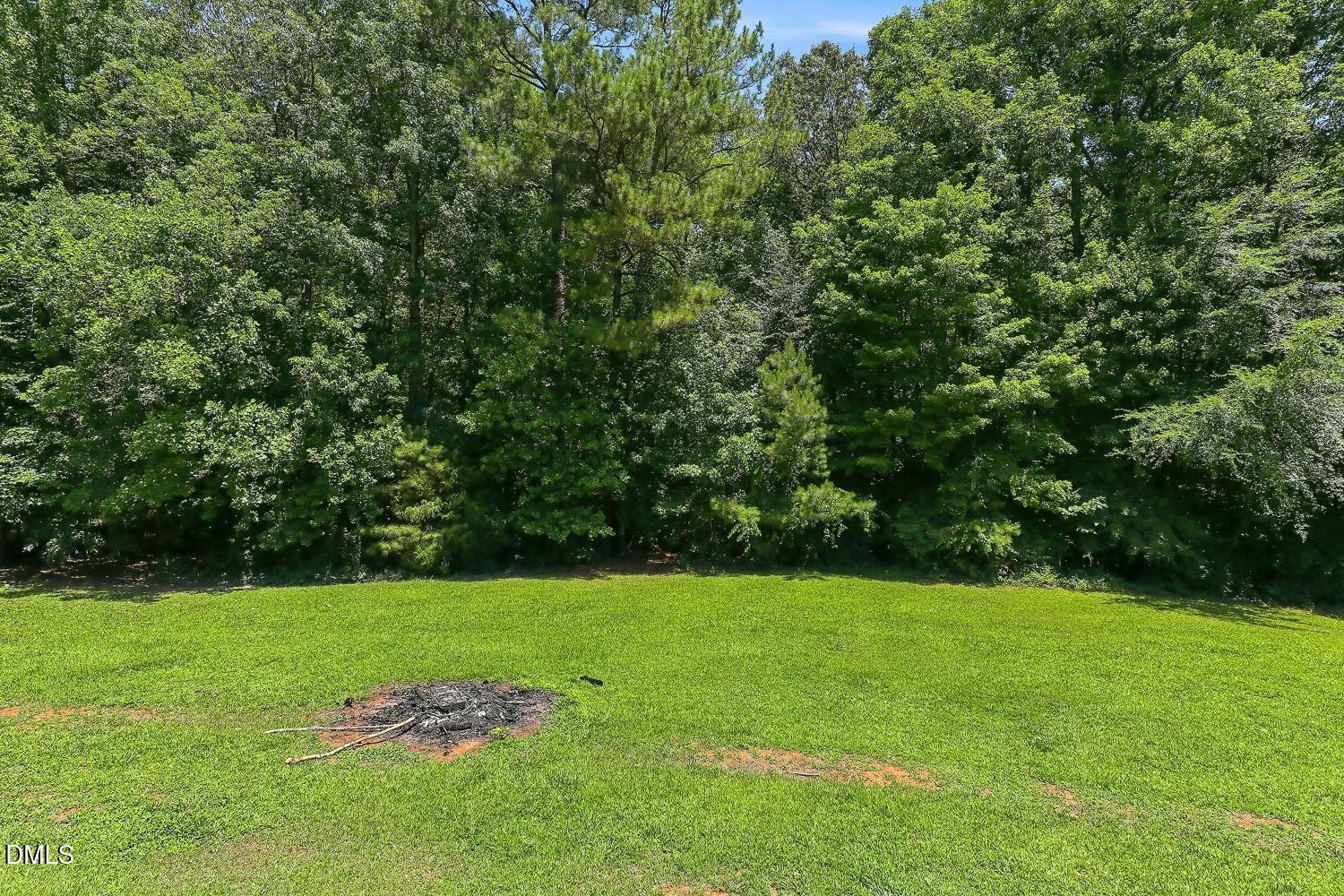 347 Round Fish Drive Sanford, NC 27330 - Photo 38 of 43 043-047-Back Yard-1500x1000