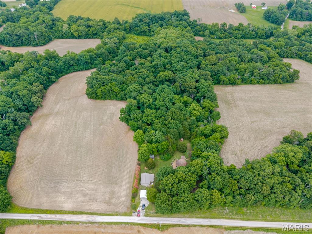 12042 Dutch Ashley, IL 62808 - Photo 37 of 45