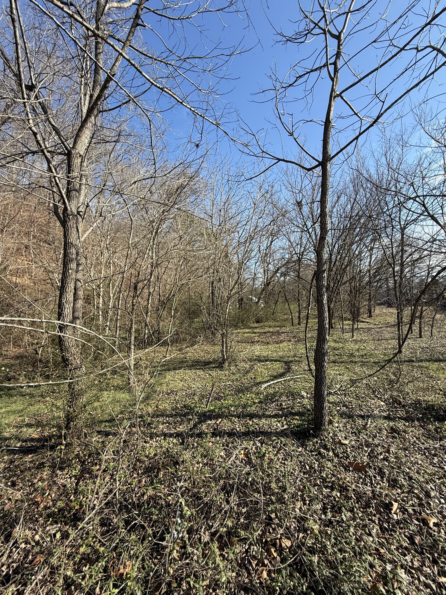 4240 Old Stewart Road Stewart, TN 37175 - Photo 6 of 11