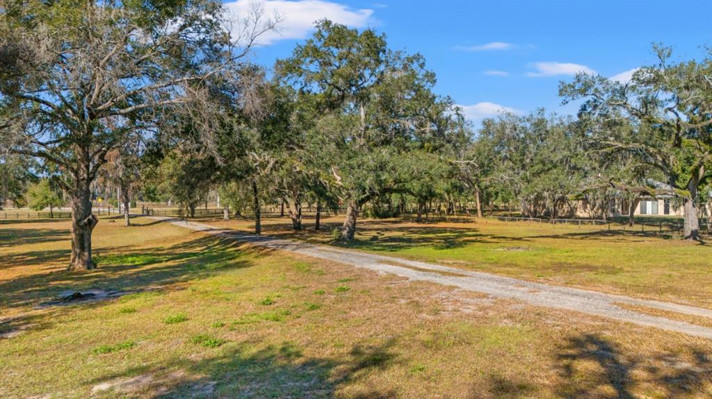 12414 Fort King Road Dade City, FL 33525 - Photo 59 of 60 Gallery Image 59