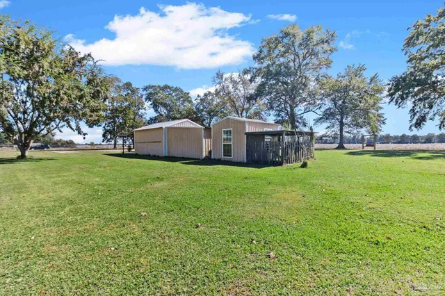 a view of a large trees with a big yard and large trees