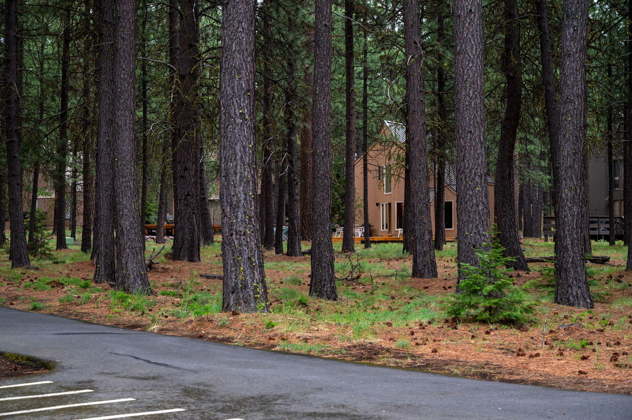 13612 Floret, Unit 41 Black Butte Ranch, OR 97759 - Photo 34 of 42 33-web-or-mls-13612-Floret-Black-Butte-R