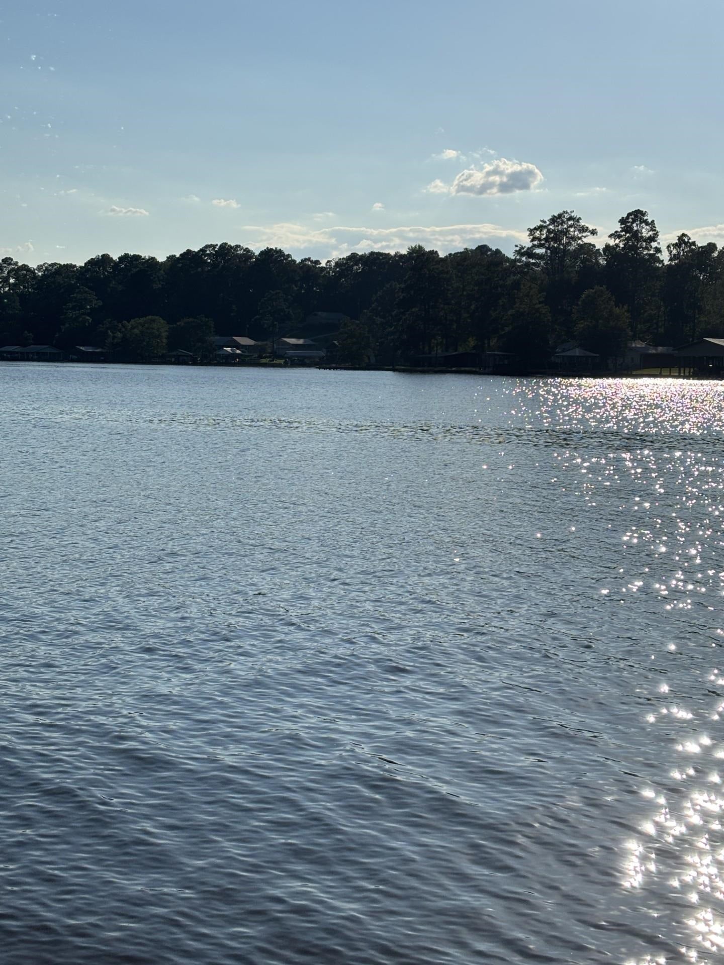 15495 Dunns Bridge Road Andalusia, AL 36421 - Photo 9 of 22 Gallery Image 9
