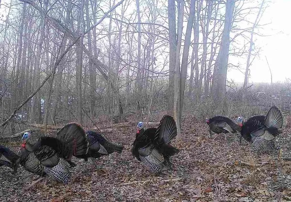 $2,690,000 | County Road East, Boscobel, WI 53805