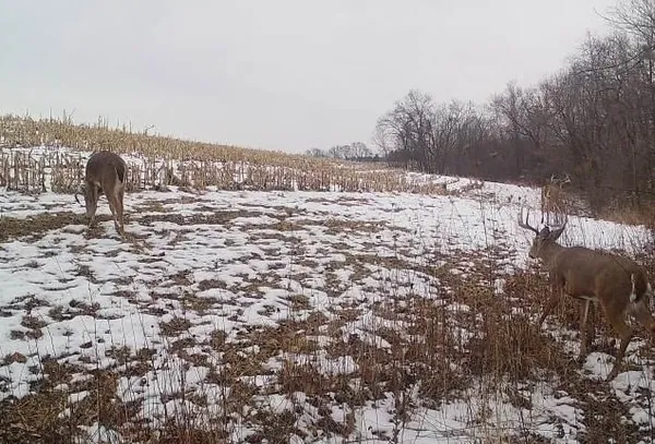 $2,690,000 | County Road East, Boscobel, WI 53805