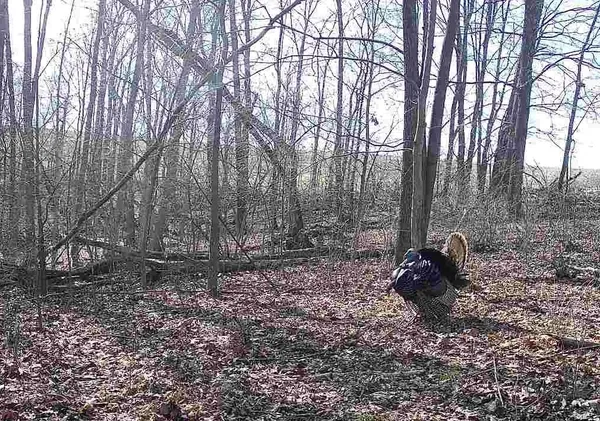 $2,690,000 | County Road East, Boscobel, WI 53805