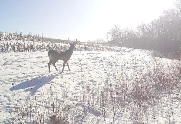 $2,690,000 | County Road East, Boscobel, WI 53805