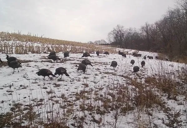 $2,690,000 | County Road East, Boscobel, WI 53805