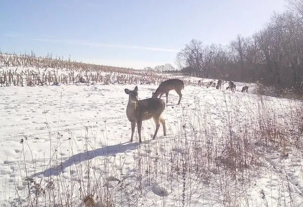 $2,690,000 | County Road East, Boscobel, WI 53805