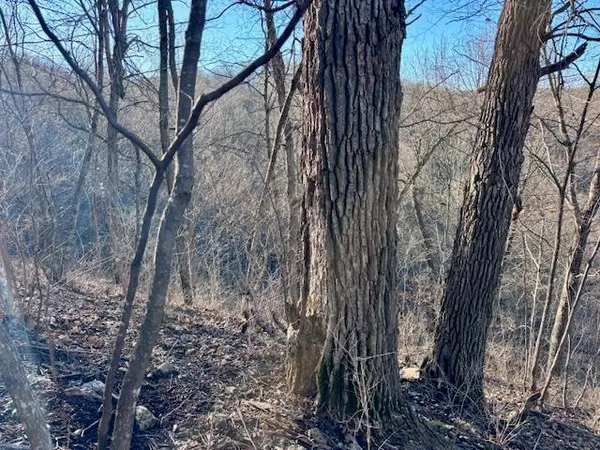 $2,690,000 | County Road East, Boscobel, WI 53805