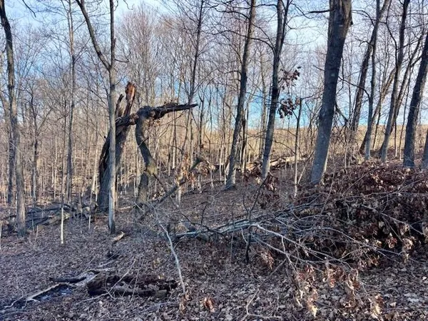 $2,690,000 | County Road East, Boscobel, WI 53805