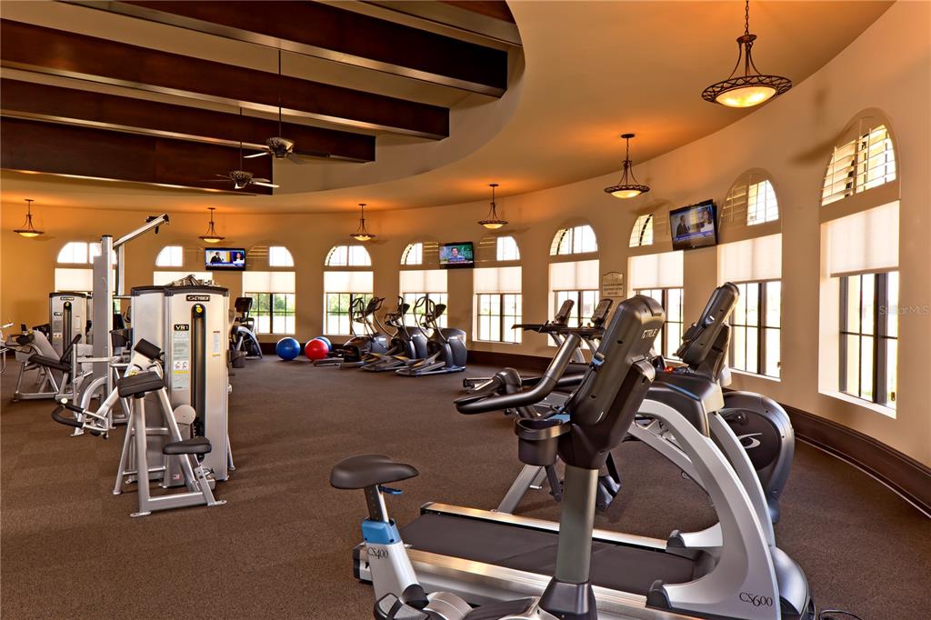20209 Benissimo Drive Venice, FL 34293 - Photo 37 of 53 a view of a room with gym equipment