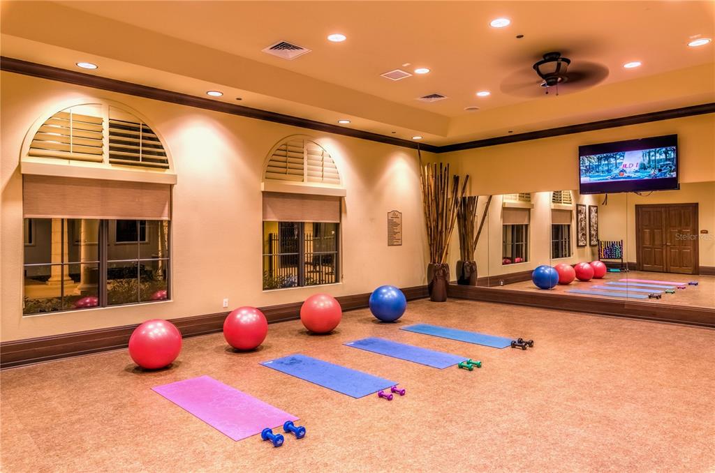 20209 Benissimo Drive Venice, FL 34293 - Photo 38 of 53 a view of a room with gym equipment