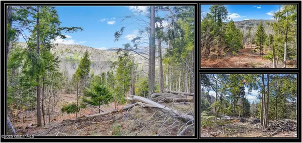 $99,500 | L17 Mountain Meadows Road, Adirondack, NY 12808