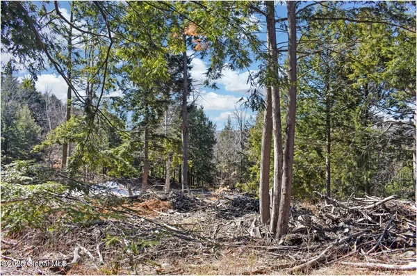 $99,500 | L17 Mountain Meadows Road, Adirondack, NY 12808