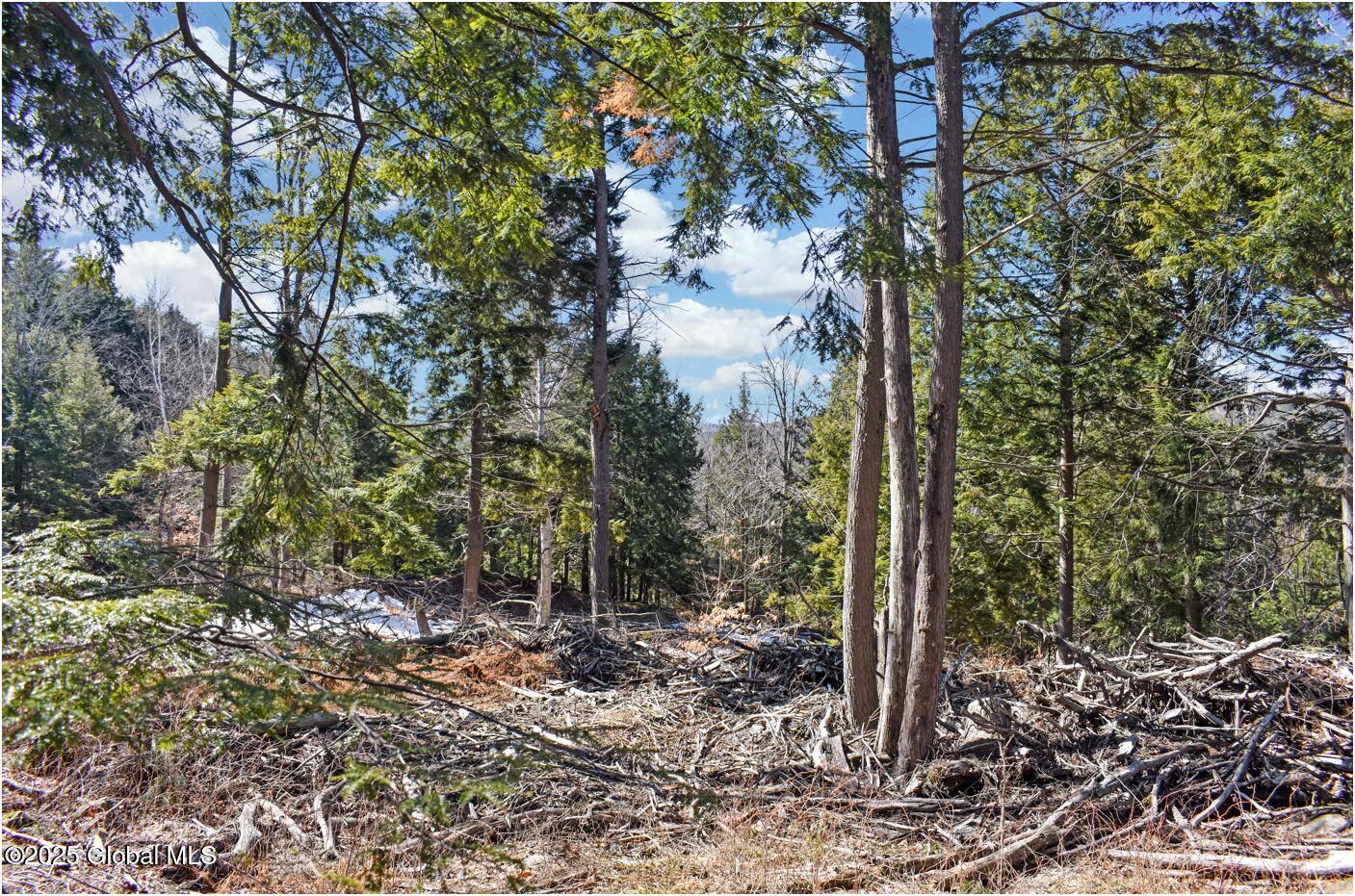 L17 Mountain Meadows Road Adirondack, NY 12808 - Photo 11 of 16 mm42