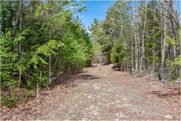 $99,500 | L17 Mountain Meadows Road, Adirondack, NY 12808