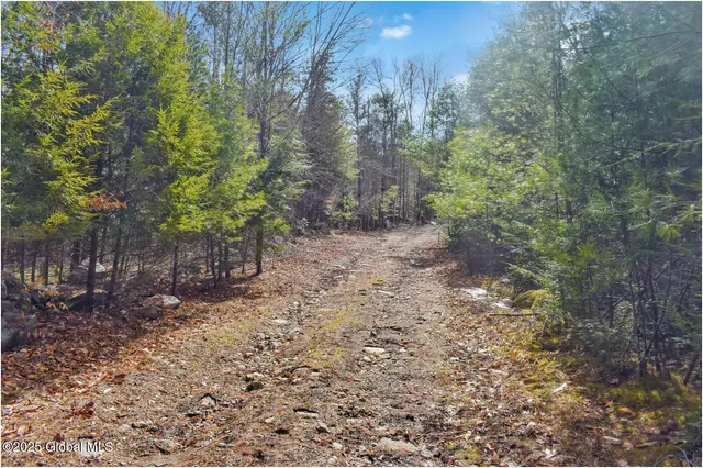 $99,500 | L17 Mountain Meadows Road, Adirondack, NY 12808