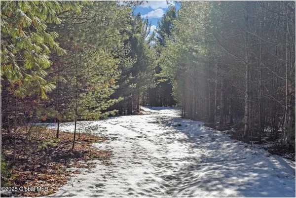 $99,500 | L17 Mountain Meadows Road, Adirondack, NY 12808