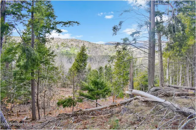 $99,500 | L17 Mountain Meadows Road, Adirondack, NY 12808