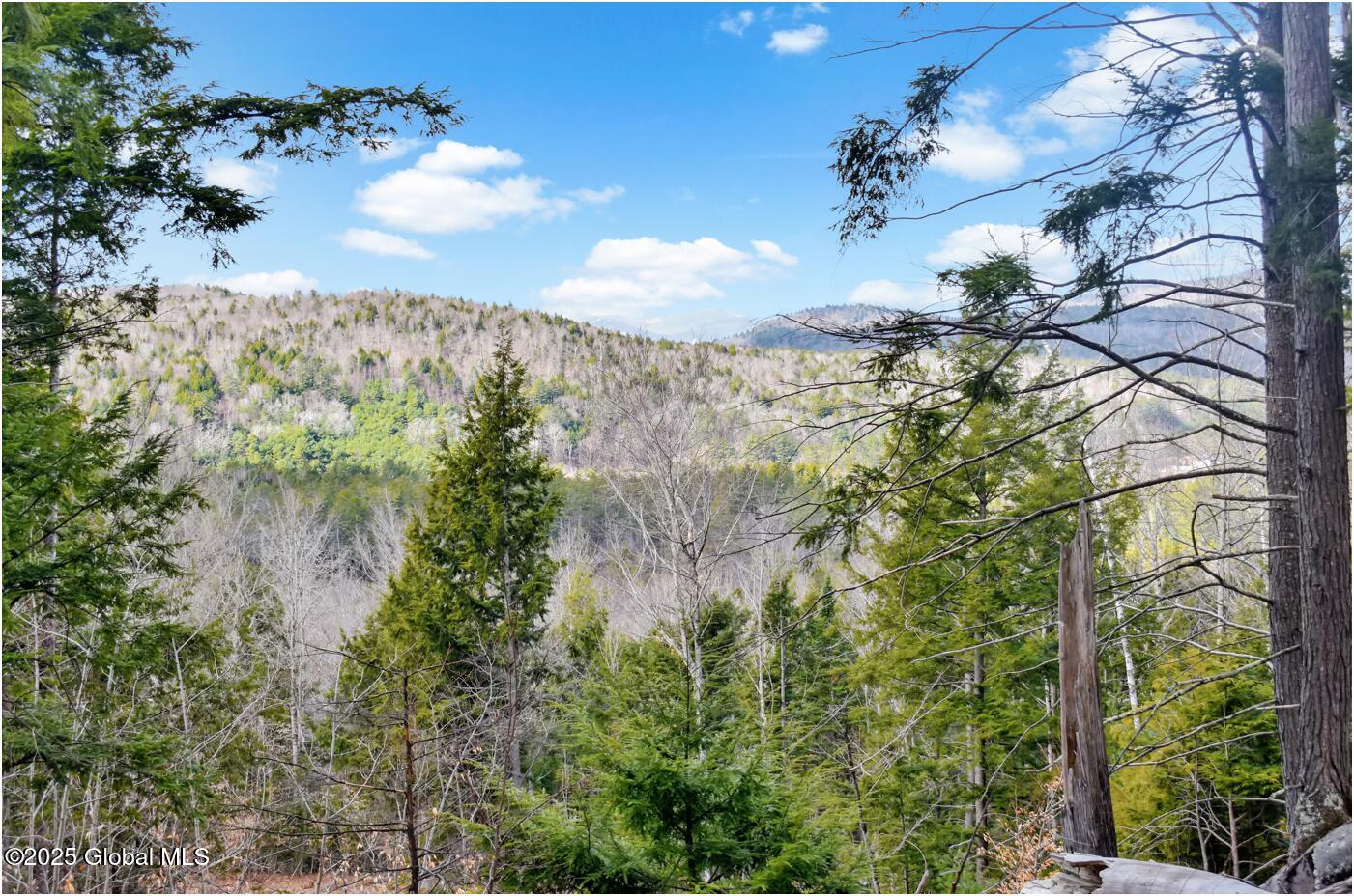 L17 Mountain Meadows Road Adirondack, NY 12808 - Photo 4 of 16 mm21