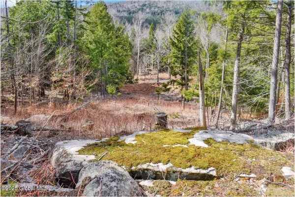 $99,500 | L17 Mountain Meadows Road, Adirondack, NY 12808