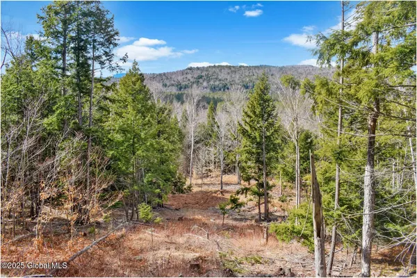$99,500 | L17 Mountain Meadows Road, Adirondack, NY 12808
