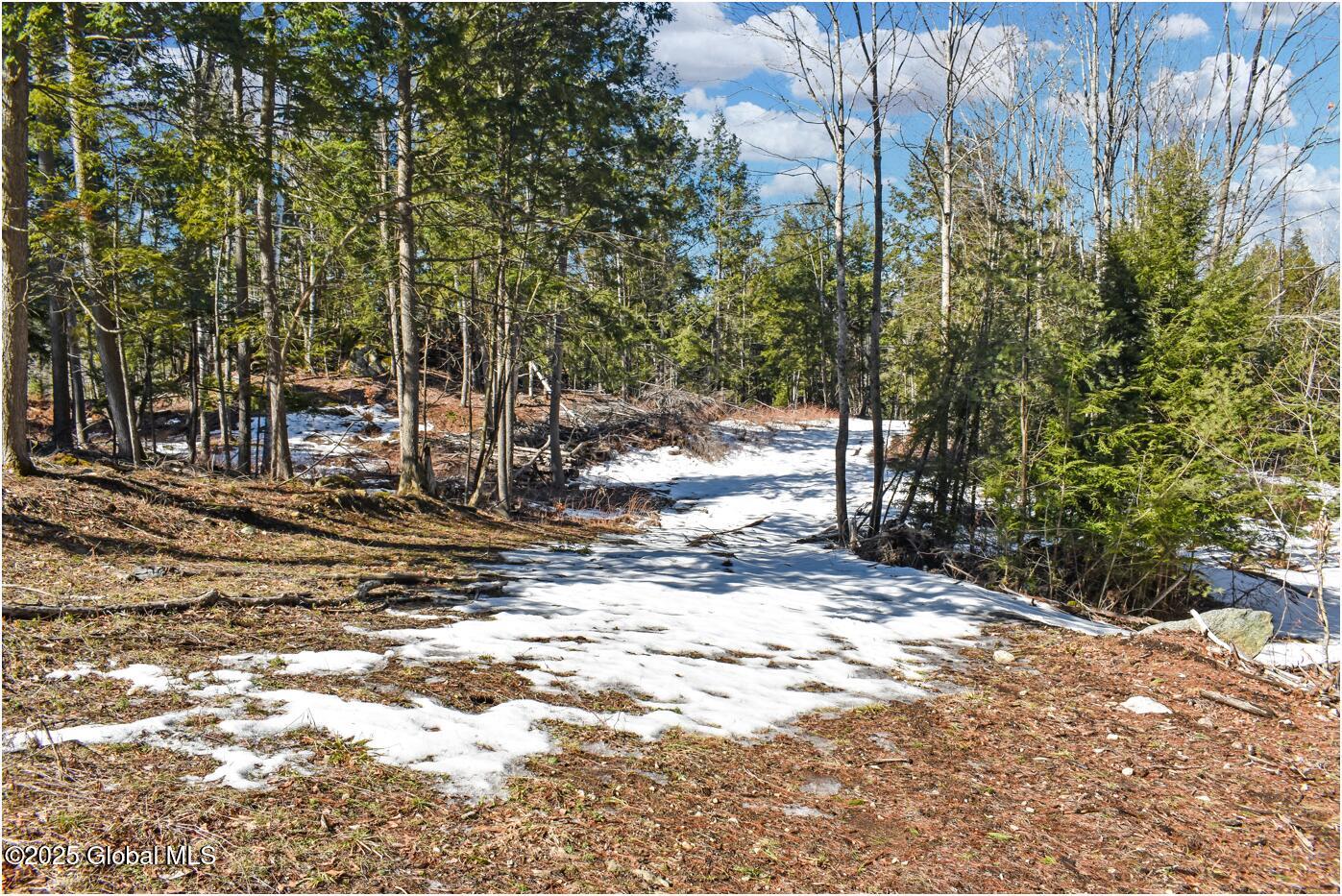 L17 Mountain Meadows Road Adirondack, NY 12808 - Photo 7 of 16 m40