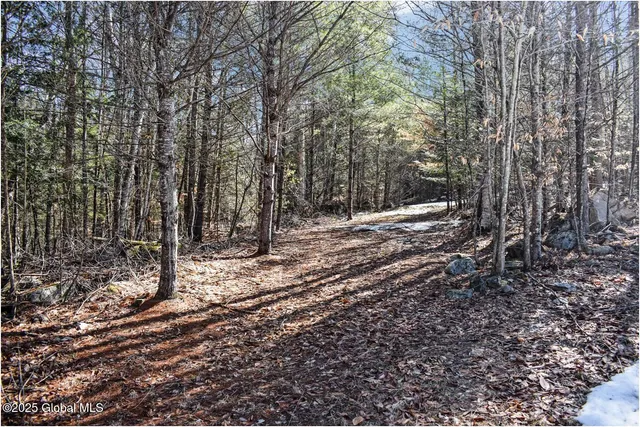 $99,500 | L17 Mountain Meadows Road, Adirondack, NY 12808
