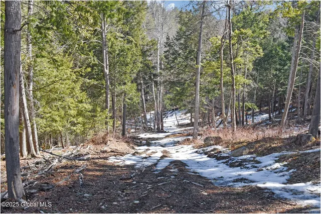 $99,500 | L17 Mountain Meadows Road, Adirondack, NY 12808