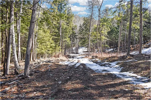 $99,500 | L17 Mountain Meadows Road, Adirondack, NY 12808