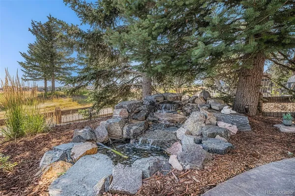a view of a yard with plants and trees