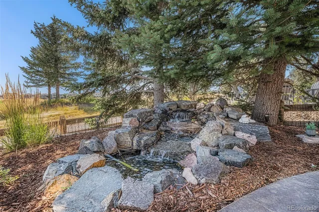 a view of a yard with plants and trees