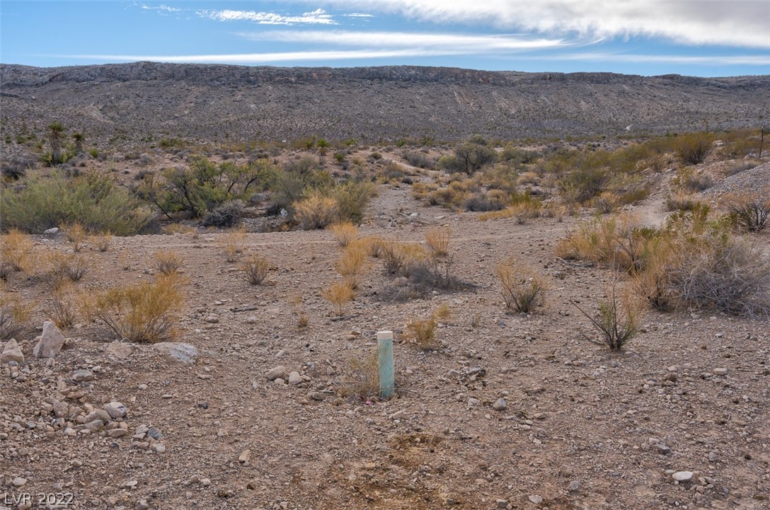 Bojangles Way Blue Diamond, NV 89004 - Photo 16 of 32