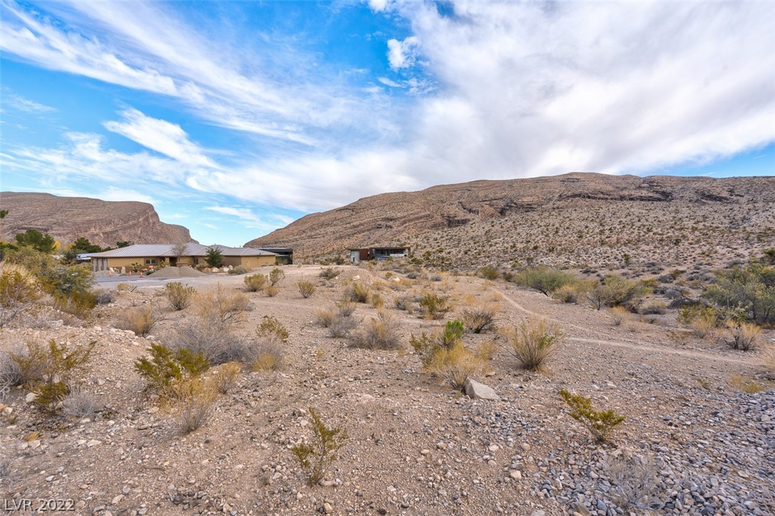 Bojangles Way Blue Diamond, NV 89004 - Photo 18 of 32