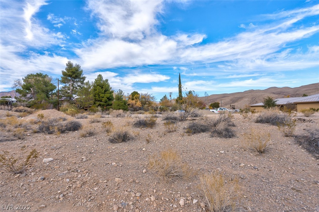 Bojangles Way Blue Diamond, NV 89004 - Photo 19 of 32