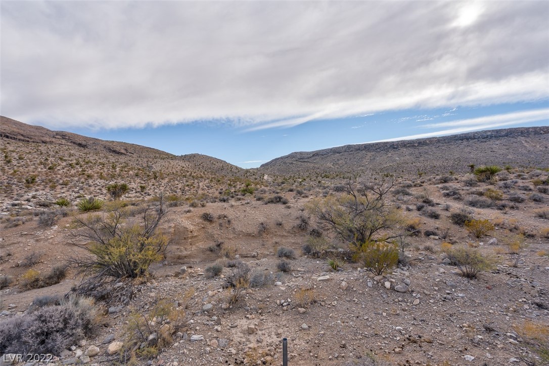 Bojangles Way Blue Diamond, NV 89004 - Photo 20 of 32