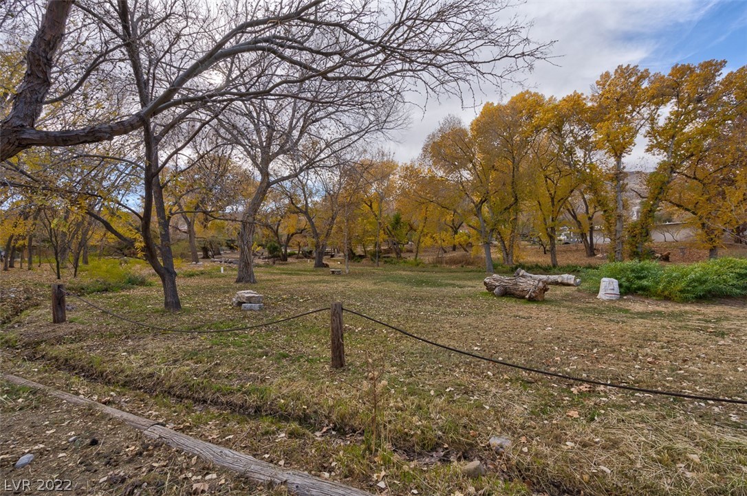 Bojangles Way Blue Diamond, NV 89004 - Photo 22 of 32