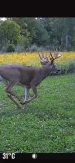 $2,199,900 | W7181 Duck Creek Avenue, Westfield, WI 53964