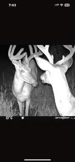 $2,199,900 | W7181 Duck Creek Avenue, Westfield, WI 53964