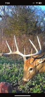 $2,199,900 | W7181 Duck Creek Avenue, Westfield, WI 53964