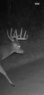 $2,199,900 | W7181 Duck Creek Avenue, Westfield, WI 53964