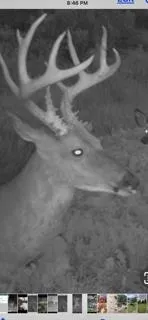 $2,199,900 | W7181 Duck Creek Avenue, Westfield, WI 53964