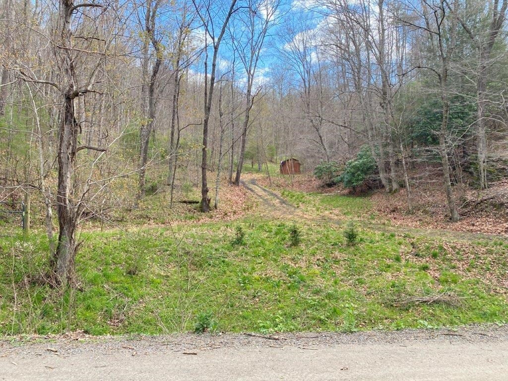Tbd Sowers Road Northeast Floyd, VA 24091 - Photo 27 of 30 Gallery Image 27